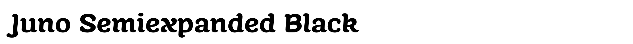 Juno Semiexpanded Black image